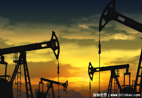 世界十大石油进口国 中国进口量大(1043万桶)