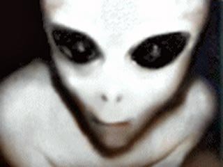 全球著名UFO事件：UFO中发现说猫语的外星人