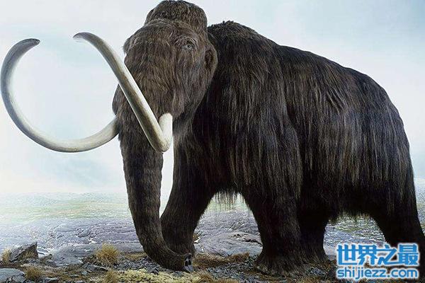地球上7大史前动物：恐龙和猛犸象均入榜